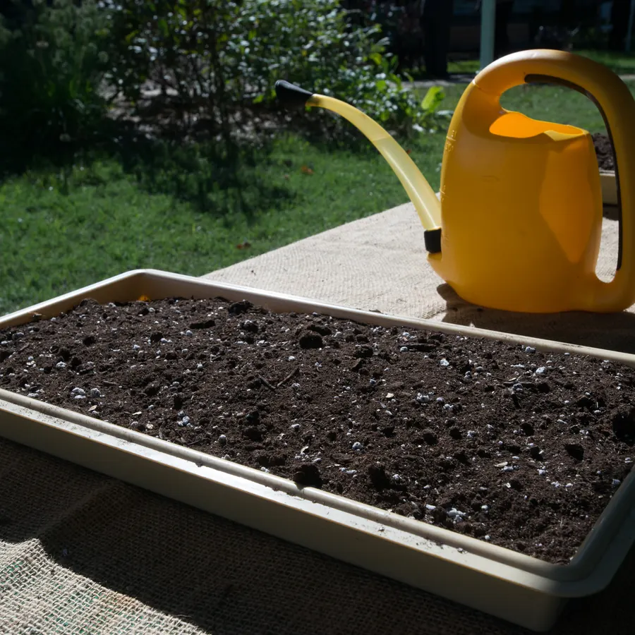 A watering can beside a seed tray of fresh potting mix